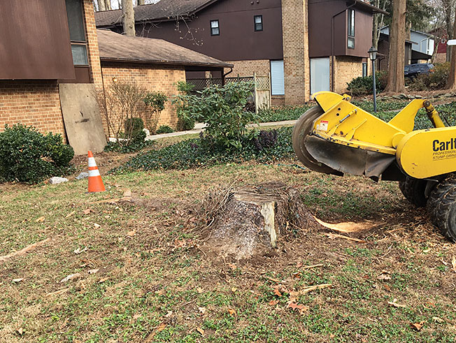 Residential Stump Grinding and Removal