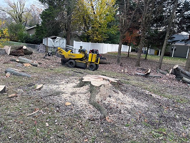 Commercial Stump Grinding and Removal